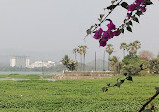 Powai Lake