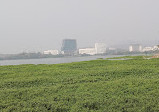 Powai Lake