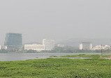 Powai Lake