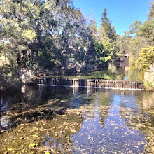 Forest Lake Park