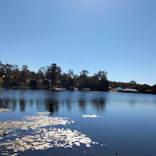 Forest Lake Park