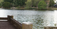 Forest Lake Park