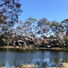 Forest Lake Park