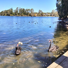 Forest Lake Park