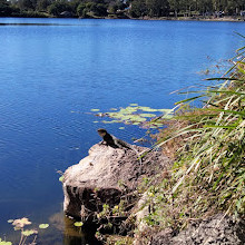 Forest Lake Park