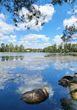 Forest Lake Park