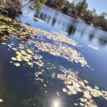 Forest Lake Park