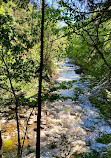 Moxie Falls Trailhead & Parking