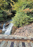 Lehigh Gorge Scenic Railway: Trademark of the Reading & Northern Railroad