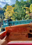 Lehigh Gorge Scenic Railway: Trademark of the Reading & Northern Railroad