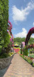 Dubai Miracle Garden