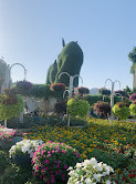 Dubai Miracle Garden