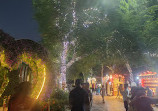 Dubai Miracle Garden