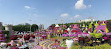 Dubai Miracle Garden