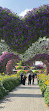 Dubai Miracle Garden