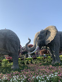 Dubai Miracle Garden