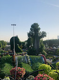 Dubai Miracle Garden