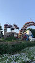 Dubai Miracle Garden