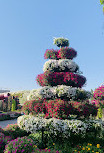 Dubai Miracle Garden