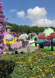 Dubai Miracle Garden