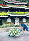 Dubai Miracle Garden