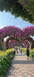 Dubai Miracle Garden