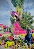 Dubai Miracle Garden