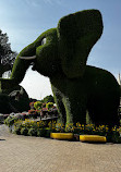 Dubai Miracle Garden