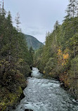 Olympic National Forest