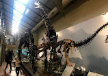 Museo Ciencias Naturales