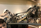 Museo Ciencias Naturales