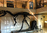 Museo Ciencias Naturales