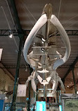 Museo Ciencias Naturales