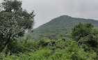 Chinnar Wildlife Sanctuary