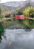 Jardin Remarquable de Baudouvin