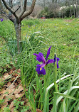 Jardin Remarquable de Baudouvin