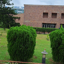 Regional Museum of Natural History