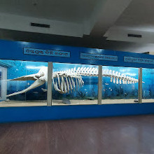 Regional Museum of Natural History