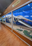 Regional Museum of Natural History