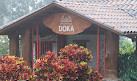 Doka Estate Costa Rica Coffee Tour and Plantation