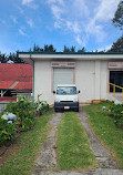 Doka Estate Costa Rica Coffee Tour and Plantation