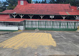 Doka Estate Costa Rica Coffee Tour and Plantation