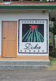 Doka Estate Costa Rica Coffee Tour and Plantation