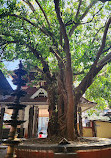 Mammiyur Sri Mahadeva Temple