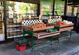 Kitsilano Natural Foods