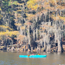 Caddo Lake State Park