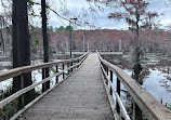 Caddo Lake State Park