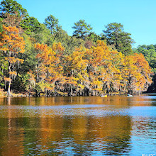 Caddo Lake State Park