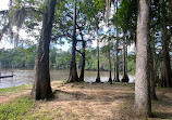 Caddo Lake State Park