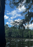 Caddo Lake State Park